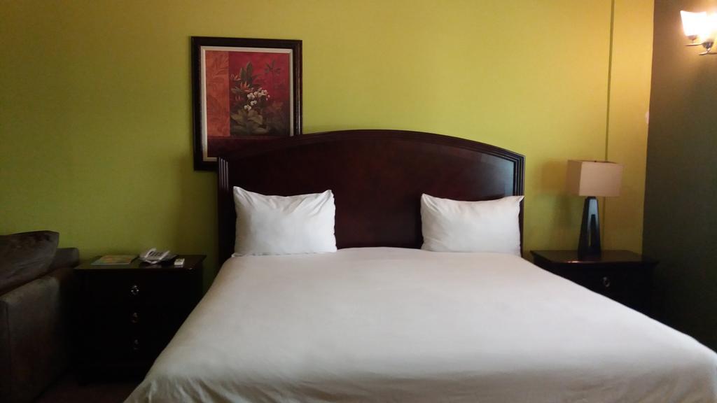 The Wexford Hotel 몬테고 베이 외부 사진